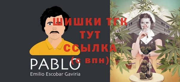 тгк Киров