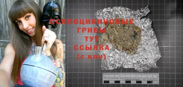 тгк Киров